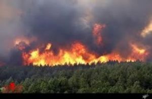 علت آتش سوزی در جنگل های شمال کشور/آتش به مازندران و گلستان رسید