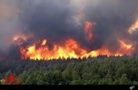 علت آتش سوزی در جنگل های شمال کشور/آتش به مازندران و گلستان رسید