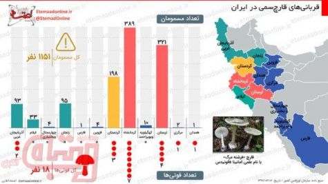 آمارهایی از قربانیان قارچ‌سمی در ایران