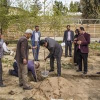 کاشت نهال در محوطه موزه منطقه‌ای جنوب شرق در زاهدان