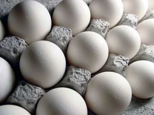 جمع آوری ۲۰۰میلیون تخم مرغ سمی از بازار آمریکا