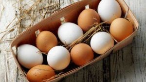 واردات بیش از ۱۱۶تن تخم مرغ به کشور