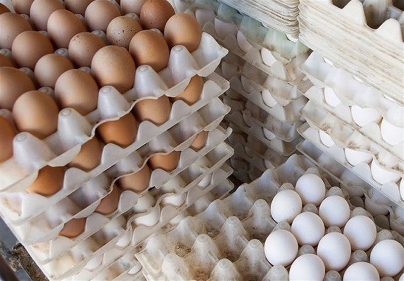 متوسط قیمت هر کیلو تخم مرغ اعلام شد