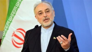 صالحی: پایداری برجام به مصلحت ایران و جامعه جهانی است
