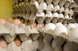 فروش تخم‌مرغ دولتی یا تزریق مُسکن موقف به بازار