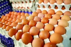 قیمت تخم‌مرغ درب مرغداری به ۷۰۰۰تومان رسید!