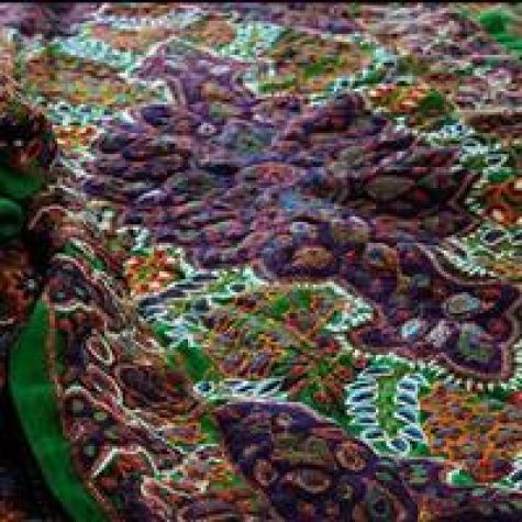 افغان‌دوزی، آسیب جدی برای پته‌دوزی کرمان است