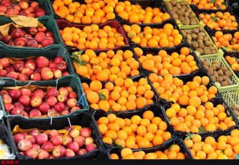 توزیع میوه‌های دولتی برای عید +قیمت