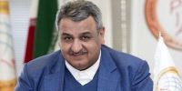 دام‌های ایرانی قاچاق می‌شوند
