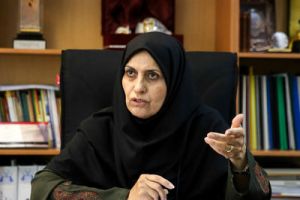 پیروزبخت: هیچ شرکتی در ایران موفق به دریافت لوح زرین کیفیت نشده است