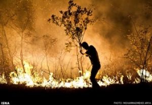 بخش اعظمی از آتش سوزی در جنگل های گیلان مهار شد/ گستره آتش از لاهیجان تا ماسال