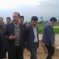 تلاش برای دوسالانه کردن کنگره گندی‎شاپور
