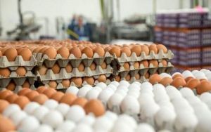 تولید تخم مرغ از مرز ۲هزار تن گذشت