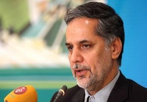 الحاق ایران به کنوانسیون مبارزه با تأمین مالی تروریسم سه‌شنبه تعیین تکلیف می‌شود