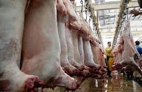 صدور مجوز تولید برای حرام گوشت‌ها به شرط صادرات