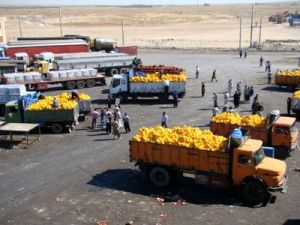 آینده نامعلوم صادرات محصولات کشاورزی به عراق