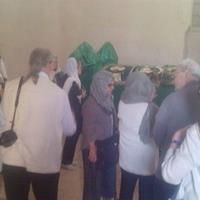 افزودن جاذبه‌های سرخس به تور مسافران قطارهای گردشگری اروپایی