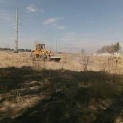 درخت‌کاری غیرمجاز در حریم درجه یک مجموعه جهانی تخت جمشید برچیده شد