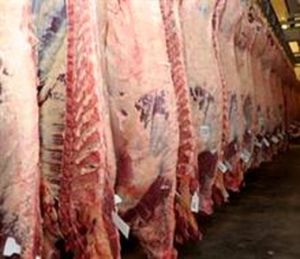 پرداخت یارانه برای واردات گوشت
