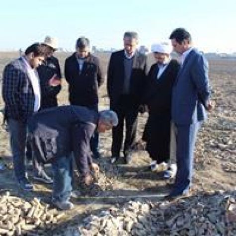 بازدید معاون استاندار گلستان از روند کاوش شهر تاریخی جرجان