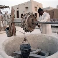 سفین، ظرفیتی تازه برای کیش