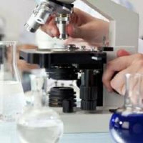 دستورالعمل ارسال نمونه‌های آزمایشگاهی فرهنگی و تاریخی به خارج از کشور تدوین می‌شود
