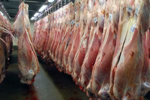 بازار ۱۵هزار میلیارد تومانی گوشت قرمز سند ملی ندارد