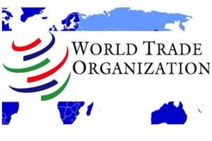 اکنون زمان پیوستن به سازمان جهانی تجارت نیست