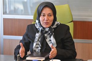 بلوکه شدن حساب ایرانیان در گرجستان/ سفارت ایران پیگیر رفع انسداد