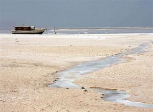 موافقت با استفاده از فاینانس برای احیای دریاچه ارومیه
