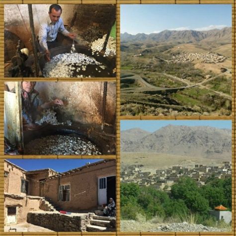 بازدید گردشگران نوروزی از کارگاه‌های ابریشم‌کشی روستای بسک تربت‌حیدریه