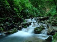 علی‌آباد کتول، از آبشار تمام‌خزه‌ای کبودوال تا راهی به روستایی در دل جنگل‌های چندهزارساله