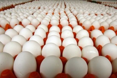 تغییرات نرخ خُرده فروشی موادغذایی/ رشد ۵۳ درصدی قیمت تخم‌مرغ