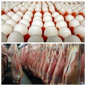 توزیع روزانه ۱۰۰تن گوشت گوسفندی و ۴۰۰تن تخم‌مرغ در تهران
