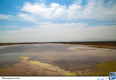 حضور گردشگران در نظرآباد البرز با آبگیری تالاب صالحیه